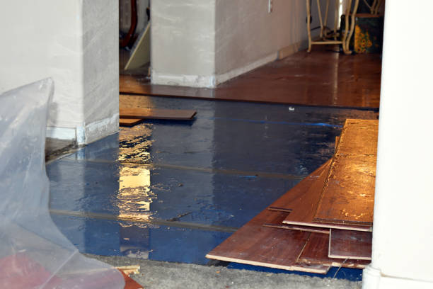 Professional Basement Flood Cleanup technician working in Rocky Point, WA